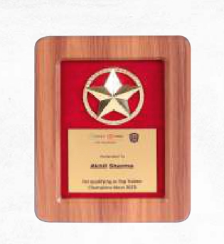 Preview - Latest update - BNS164 Wooden Plastic Ring Star Trophies In Bangalore