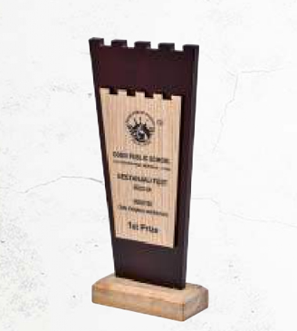 Preview - Latest update - BNS 236 Wooden Trophies In Bangalore