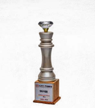 Preview - Latest update - BNS 242 Wooden Crystal Trophies In Bangalore