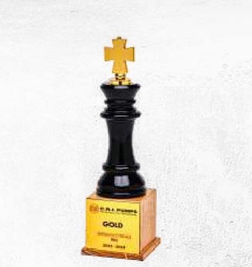 Preview - Latest update - BNS243 Wooden Top Metal Trophies In Bangalore