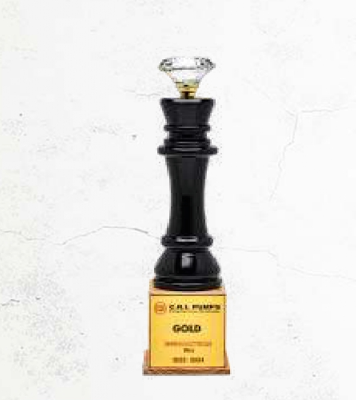 Preview - Latest update - BNS 244 Wooden Diamond Trophies In Bangalore