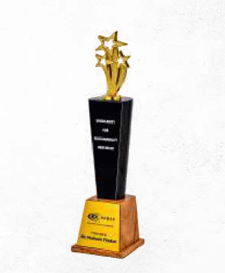 Preview - Latest update - wooden And Metal Star Trophies In Bangalore