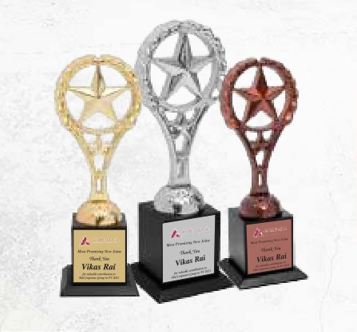 Preview - Latest update - BNS142 Metal Wooden Base Trophies In Bangalore