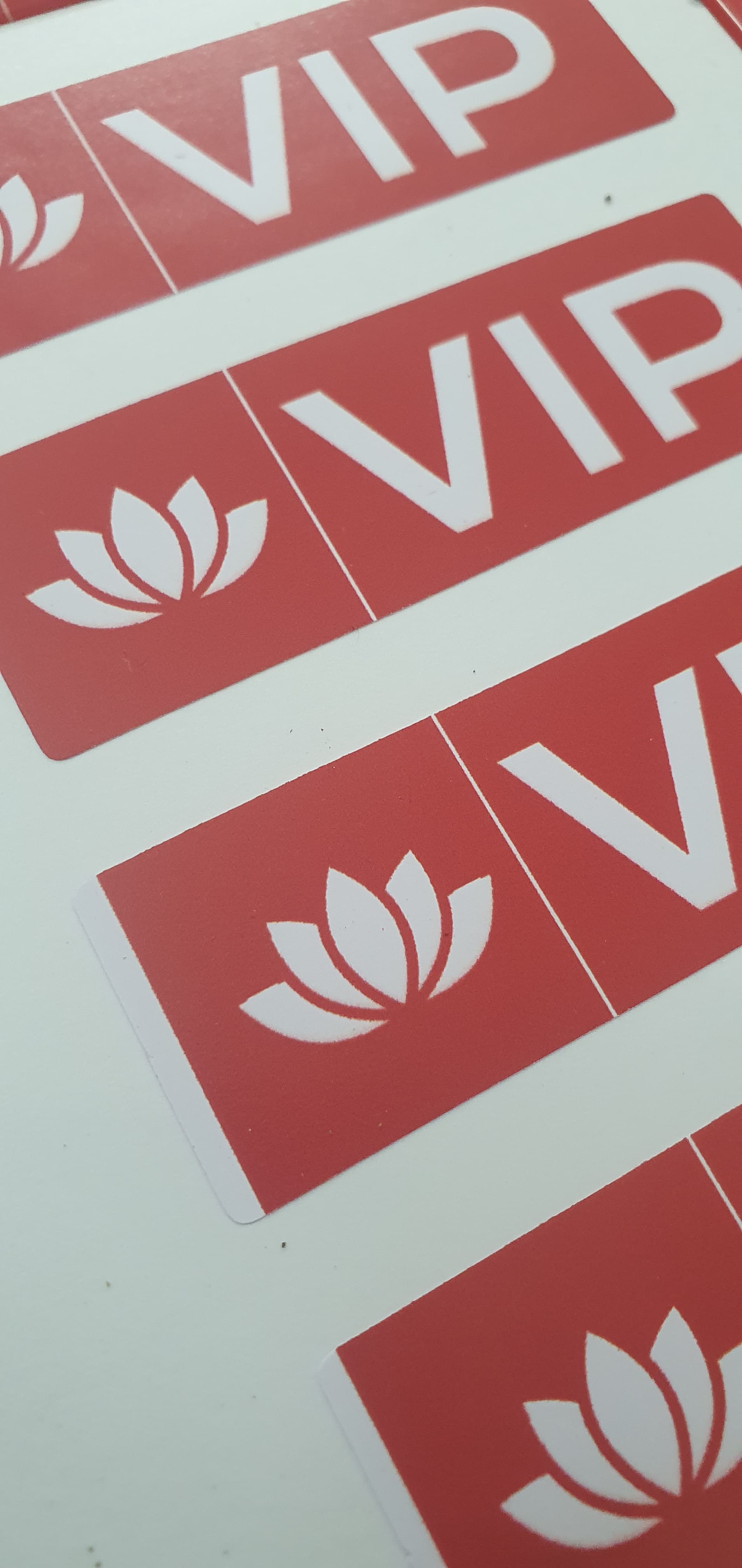 Preview - Latest update - Vinyl Sticker Printing in Bangalore